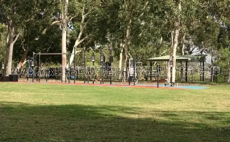飞速体育