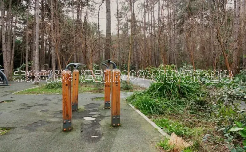 飞速体育直播app下载